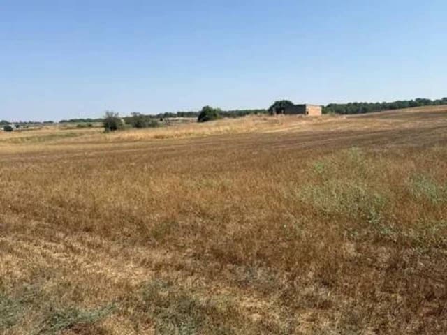 Terre non Aménagée à vendre à Rociana del Condado - 35 000 € (Ref: 9781233)