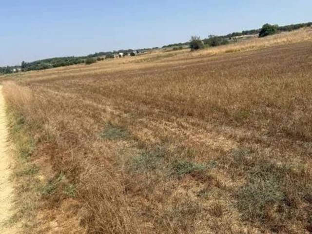 Terre non Aménagée à vendre à Rociana del Condado - 35 000 € (Ref: 9781233)