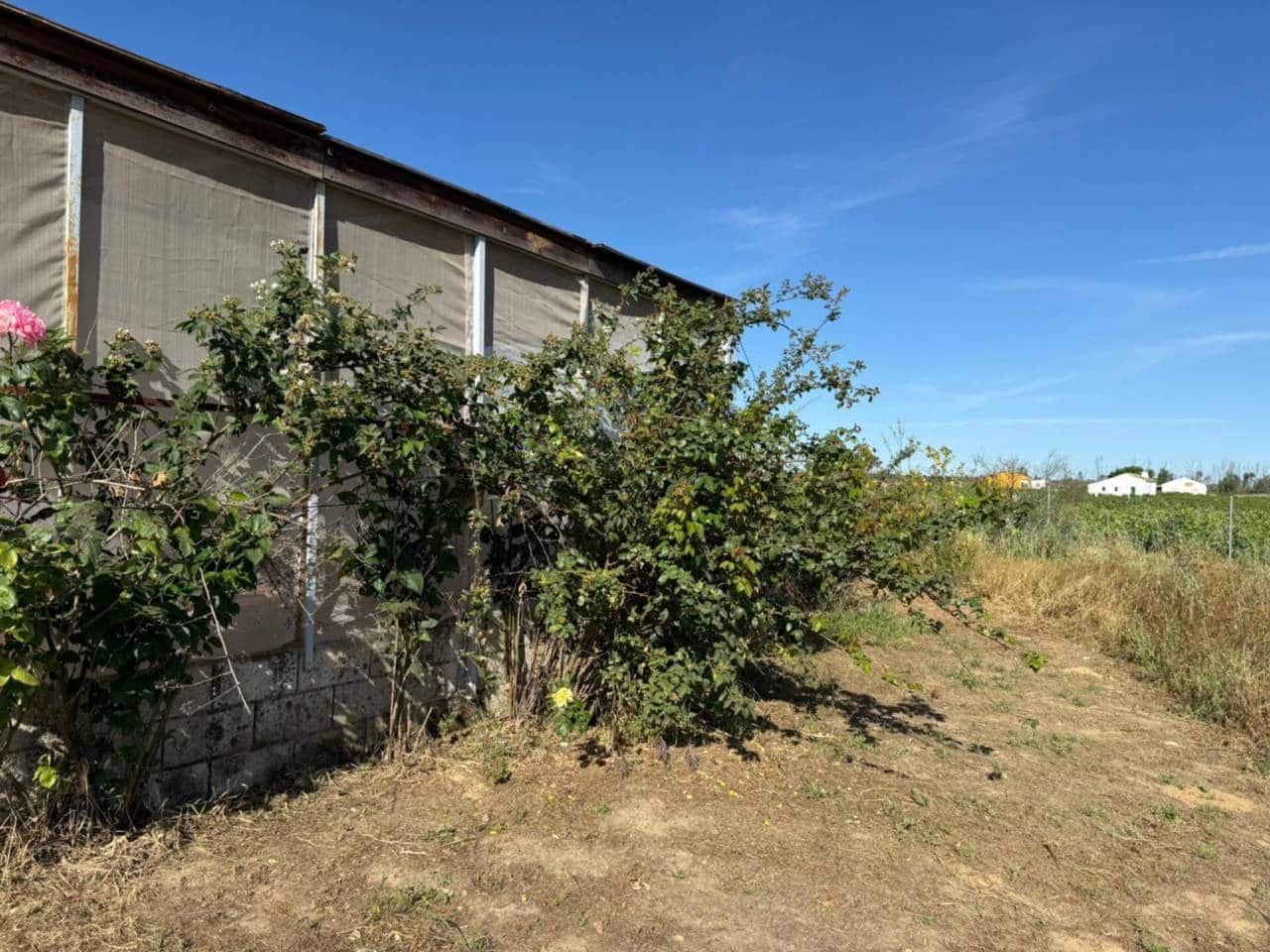 Terreno Non Edificato in vendita in Rociana del Condado - 80.000 € (Rif: 9816845)