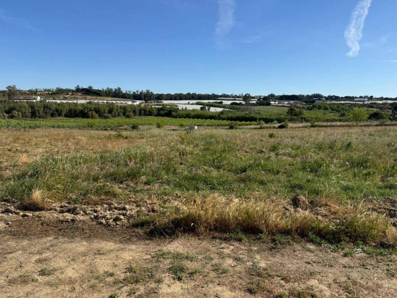 Terreno Non Edificato in vendita in Rociana del Condado - 80.000 € (Rif: 9816845)
