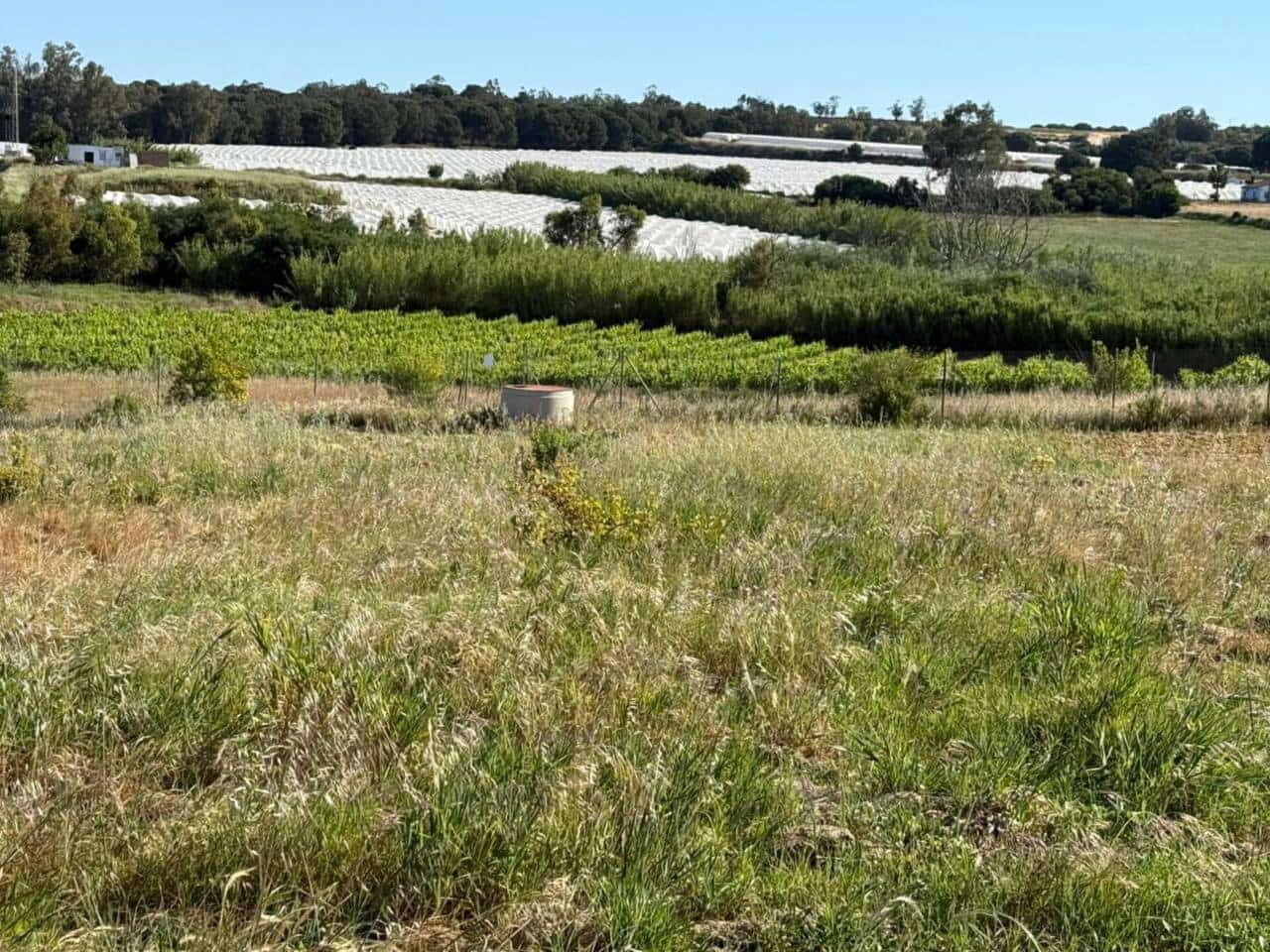 Terreno Non Edificato in vendita in Rociana del Condado - 80.000 € (Rif: 9816845)