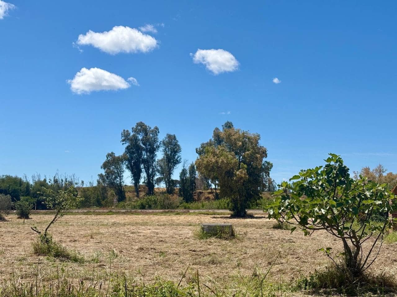 Terreno Non Edificato in vendita in Rociana del Condado - 400.000 € (Rif: 9830526)