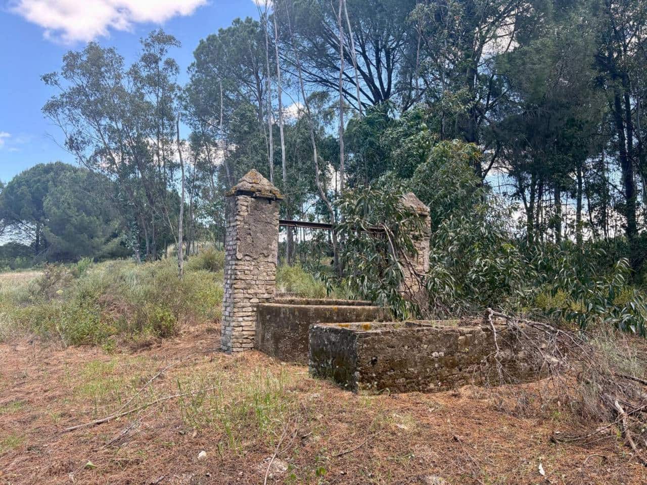 Terreno Non Edificato in vendita in Rociana del Condado - 400.000 € (Rif: 9830526)