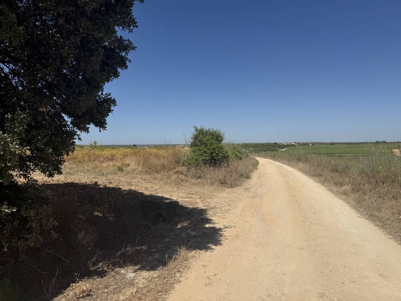 Ubebygd land til salgs i Rociana del Condado - € 80 000 (Ref: 9889651)