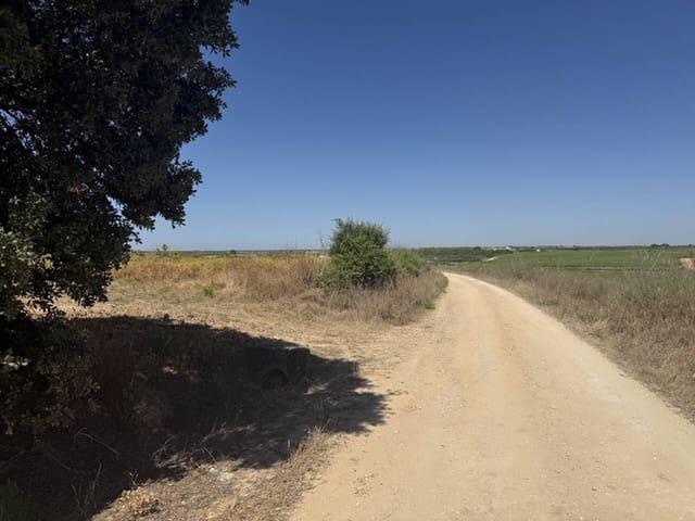 Ubebygd land til salgs i Rociana del Condado - € 80 000 (Ref: 9889651)