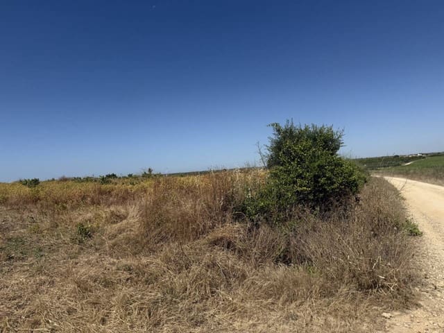 Ubebygd land til salgs i Rociana del Condado - € 80 000 (Ref: 9889651)