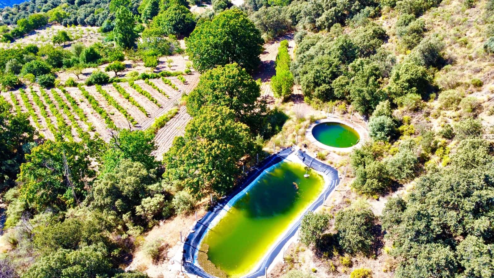 2 soveværelse Byhus til salg i Valor med swimmingpool garage - € 95.000 (Ref: 9186043)