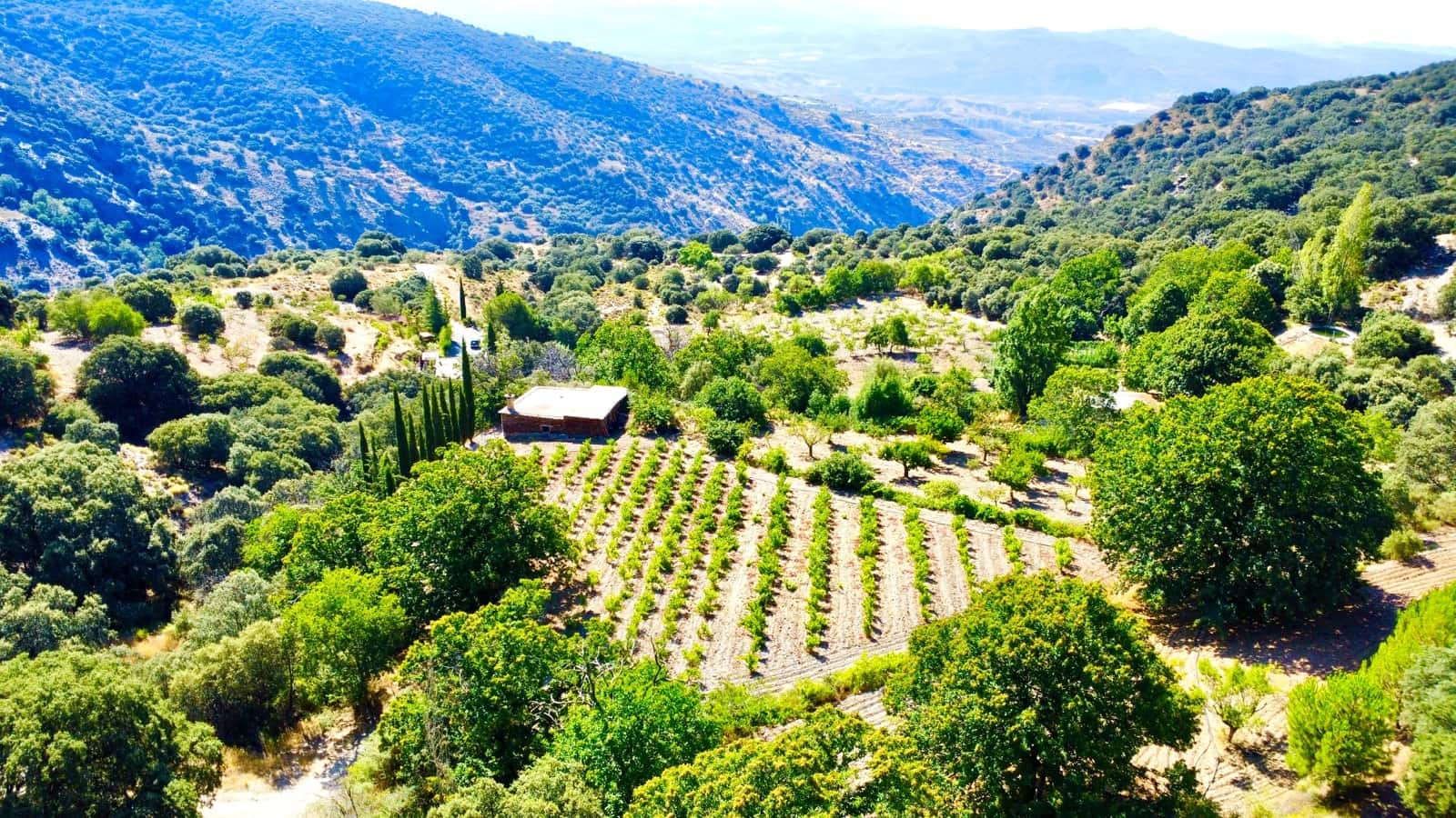 2 soveværelse Byhus til salg i Valor med swimmingpool garage - € 95.000 (Ref: 9186043)