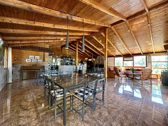 5 bedroom Business for sale in Nevada with pool garage - € 550,000 (Ref: 9187666)