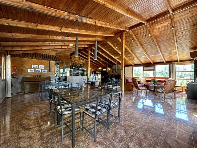 5 bedroom Business for sale in Nevada with pool garage - € 550,000 (Ref: 9187666)