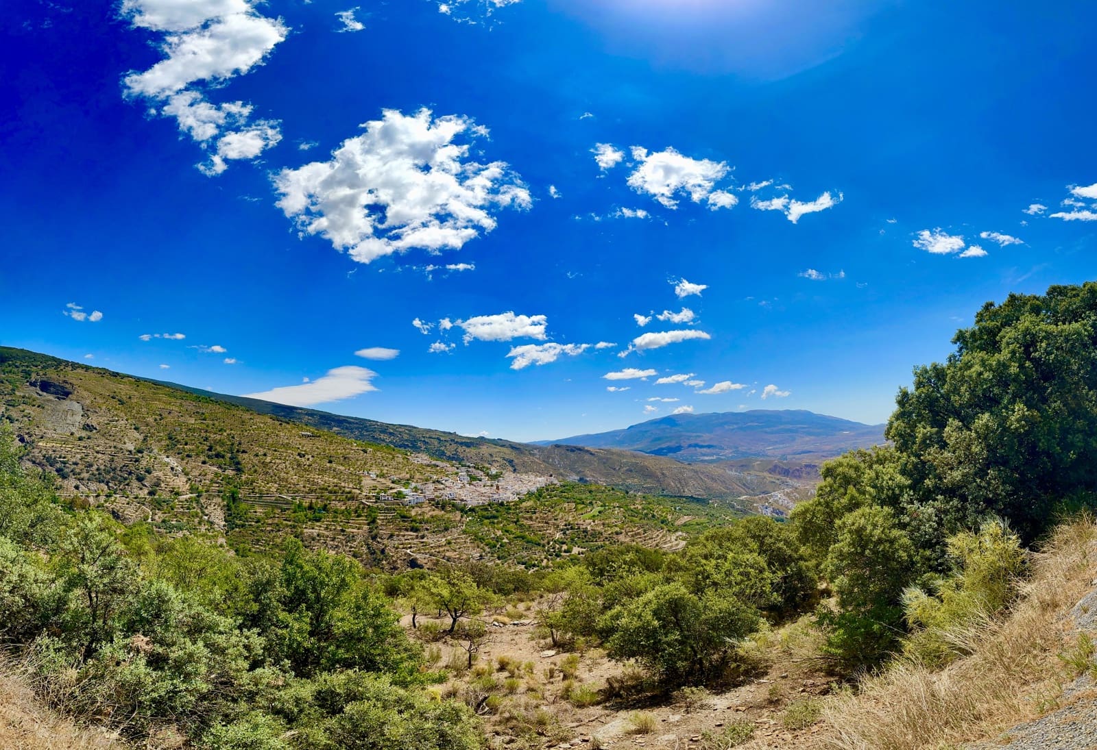 5 soveværelse Virksomhed til salg i Nevada med swimmingpool garage - € 550.000 (Ref: 9187666)