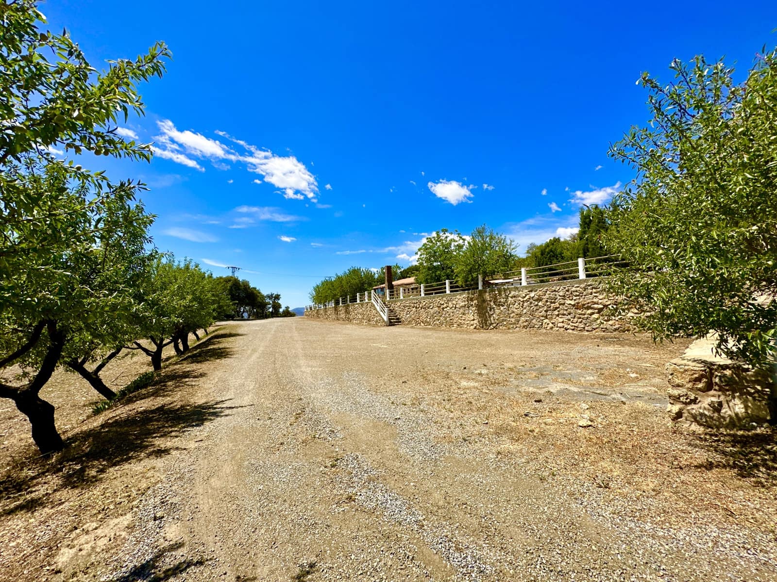 5 soveværelse Virksomhed til salg i Nevada med swimmingpool garage - € 550.000 (Ref: 9187666)