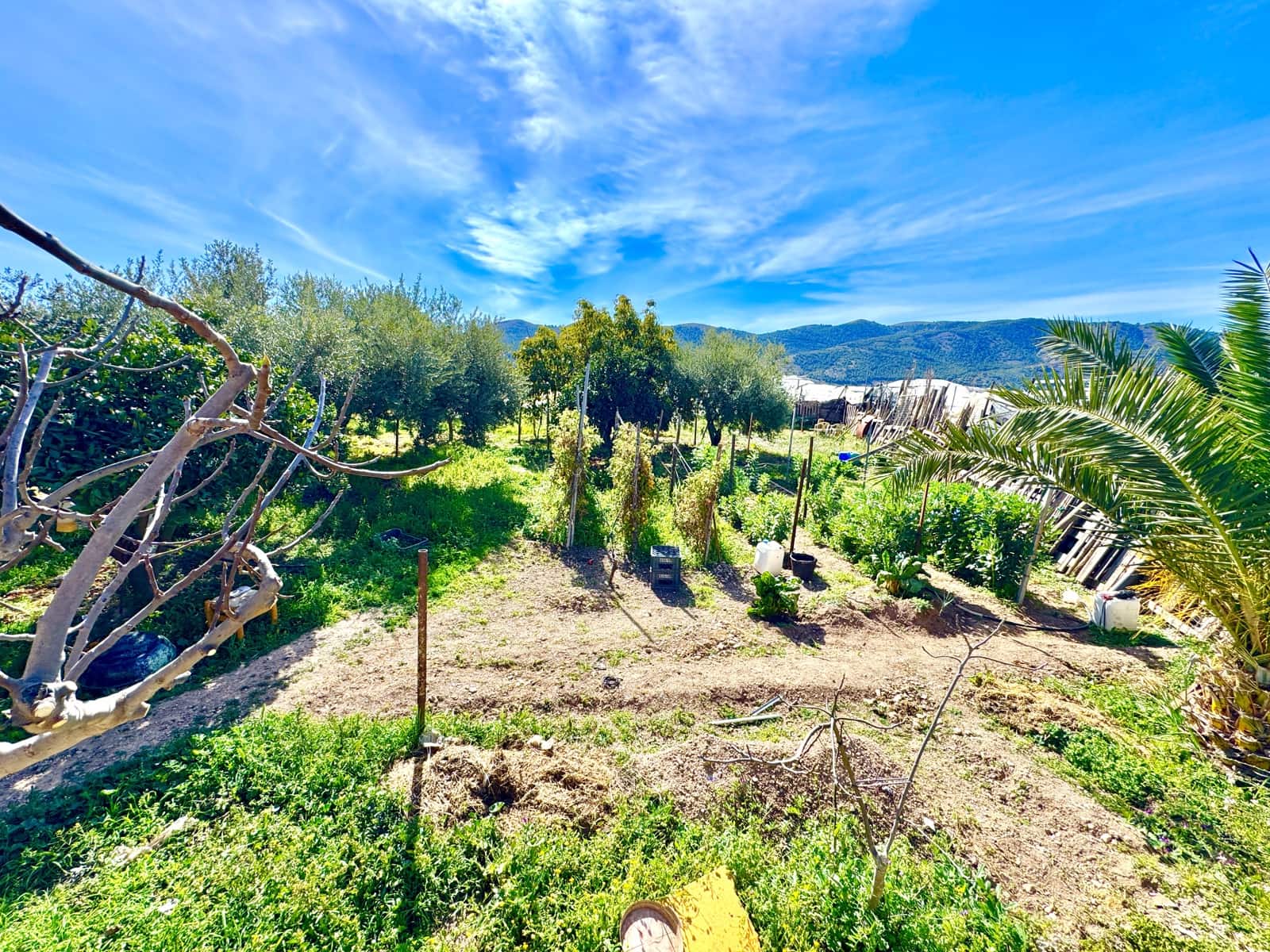 5 bedroom Finca/Country House for sale in Dalias with garage - € 298,000 (Ref: 9190711)