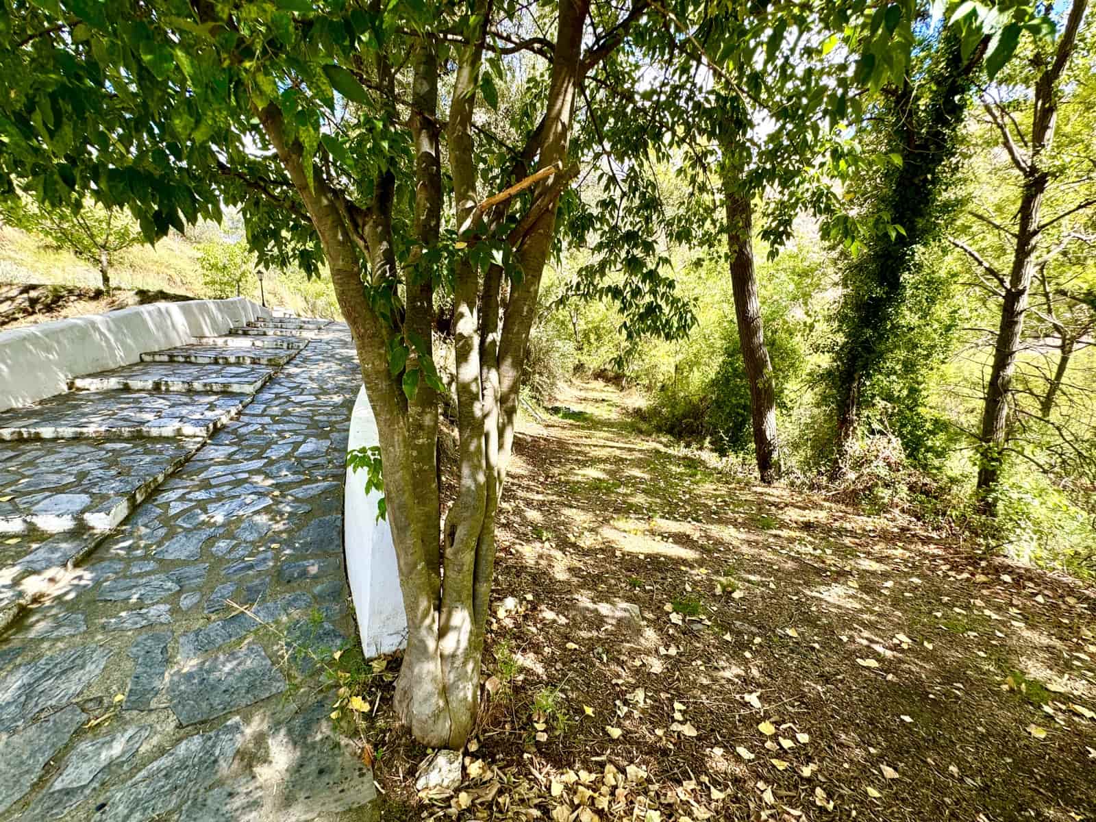 9 soveværelse Hotel til salg i Alpujarra de la Sierra med swimmingpool garage - € 450.000 (Ref: 9195103)