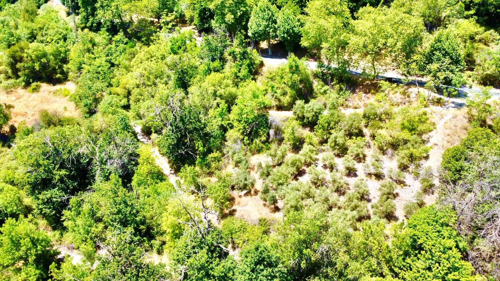 5 makuuhuone Maalaistalo myytävänä paikassa Mecina Bombaron - 99 000 € (Ref: 9219481)