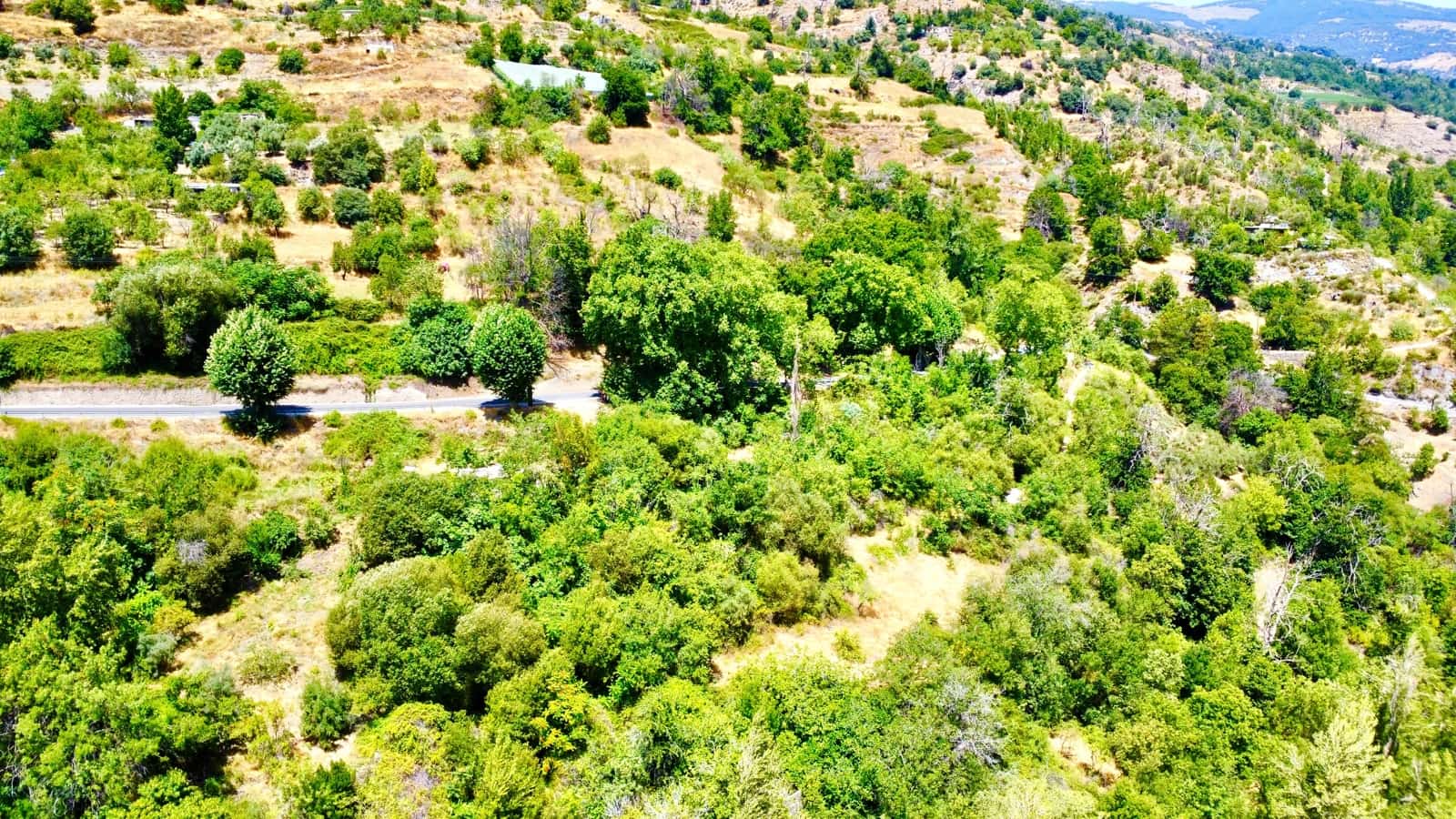 5 makuuhuone Maalaistalo myytävänä paikassa Mecina Bombaron - 99 000 € (Ref: 9219481)