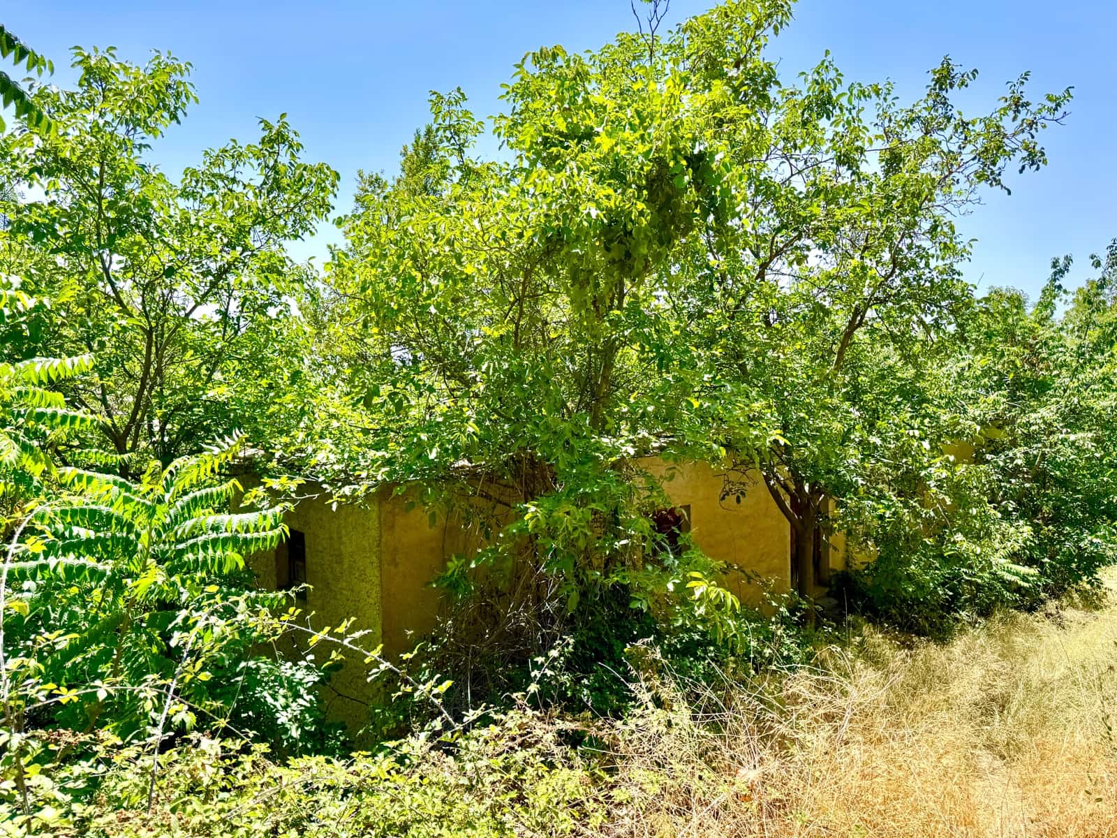 5 makuuhuone Maalaistalo myytävänä paikassa Mecina Bombaron - 99 000 € (Ref: 9219481)