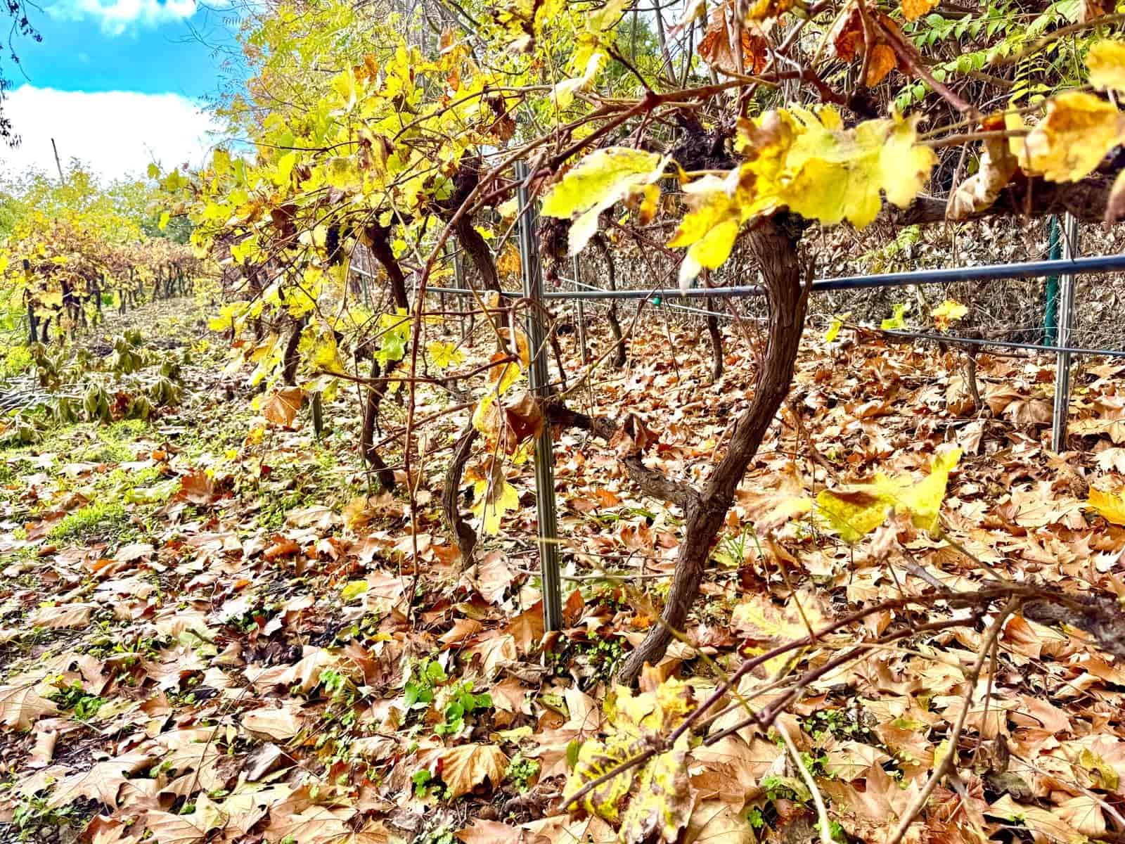 3 soverom Villa til salgs i Yegen med garasje - € 275 000 (Ref: 9409318)