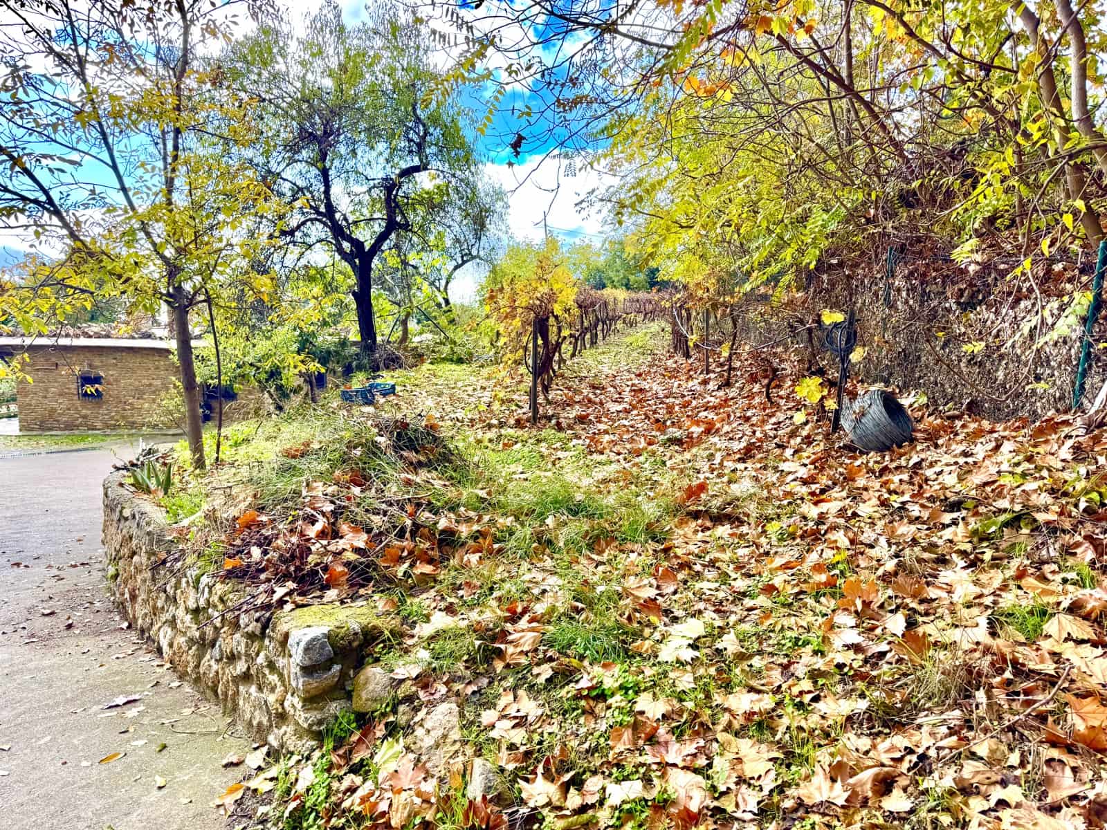 3 soverom Villa til salgs i Yegen med garasje - € 275 000 (Ref: 9409318)