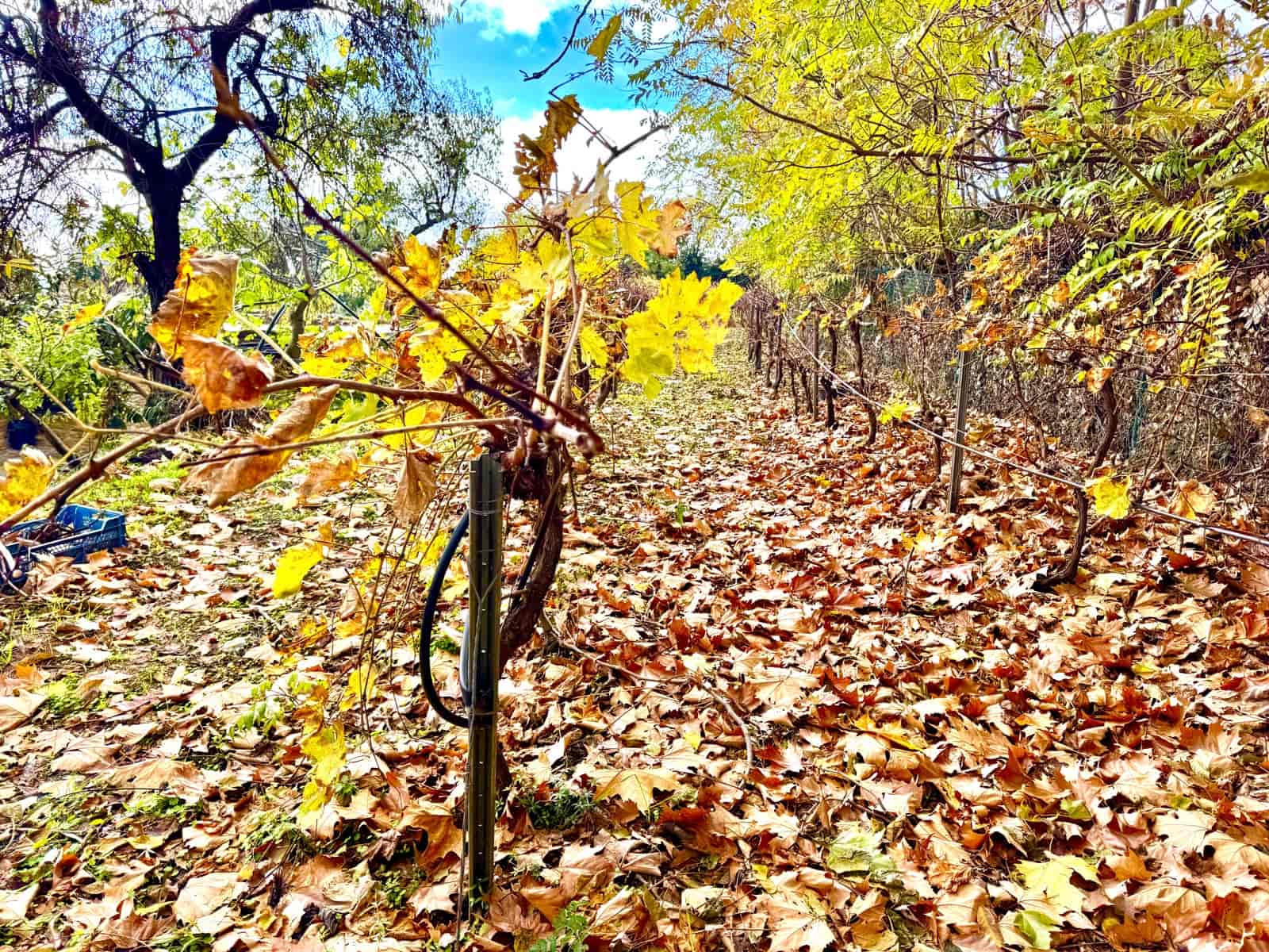 3 soverom Villa til salgs i Yegen med garasje - € 275 000 (Ref: 9409318)