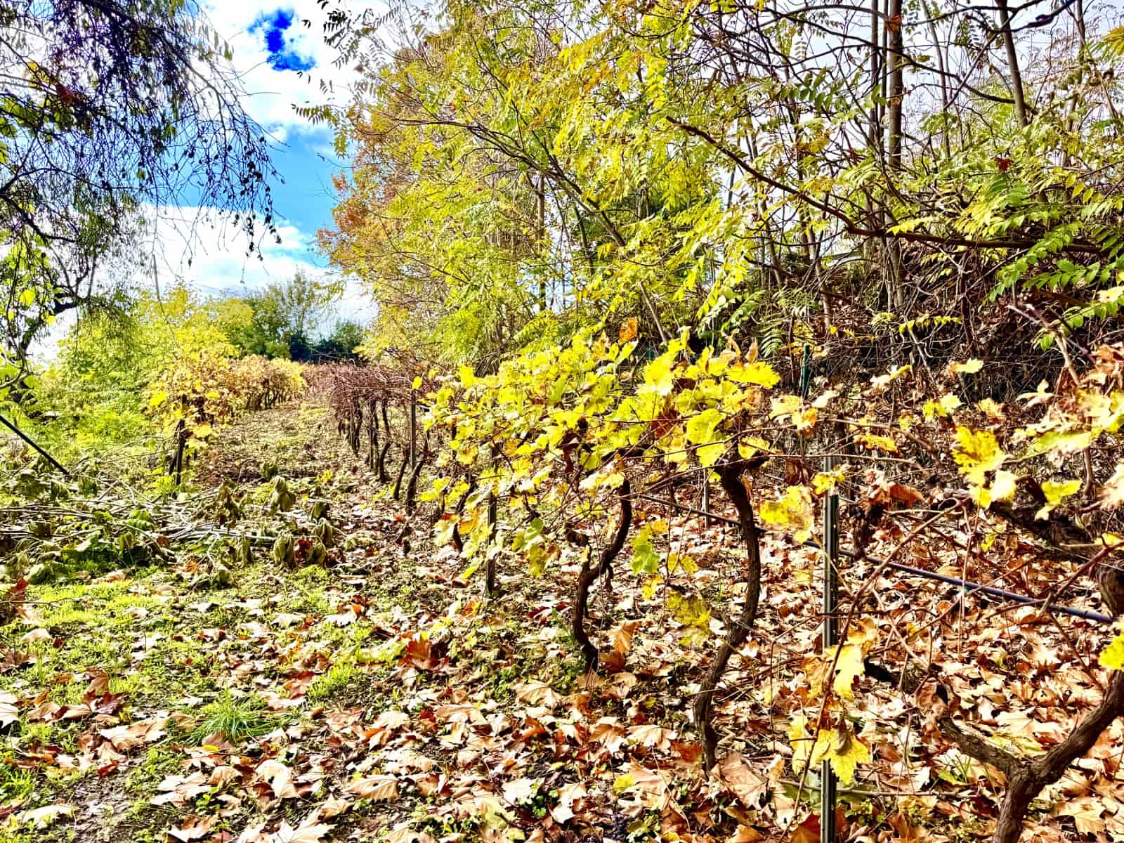 3 soverom Villa til salgs i Yegen med garasje - € 275 000 (Ref: 9409318)