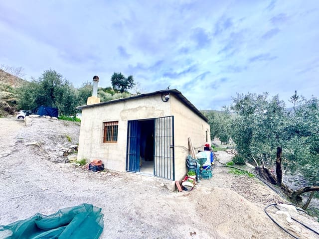 Terreno Não Urbanizado para venda em Nevada - 85 000 € (Ref: 9488013)