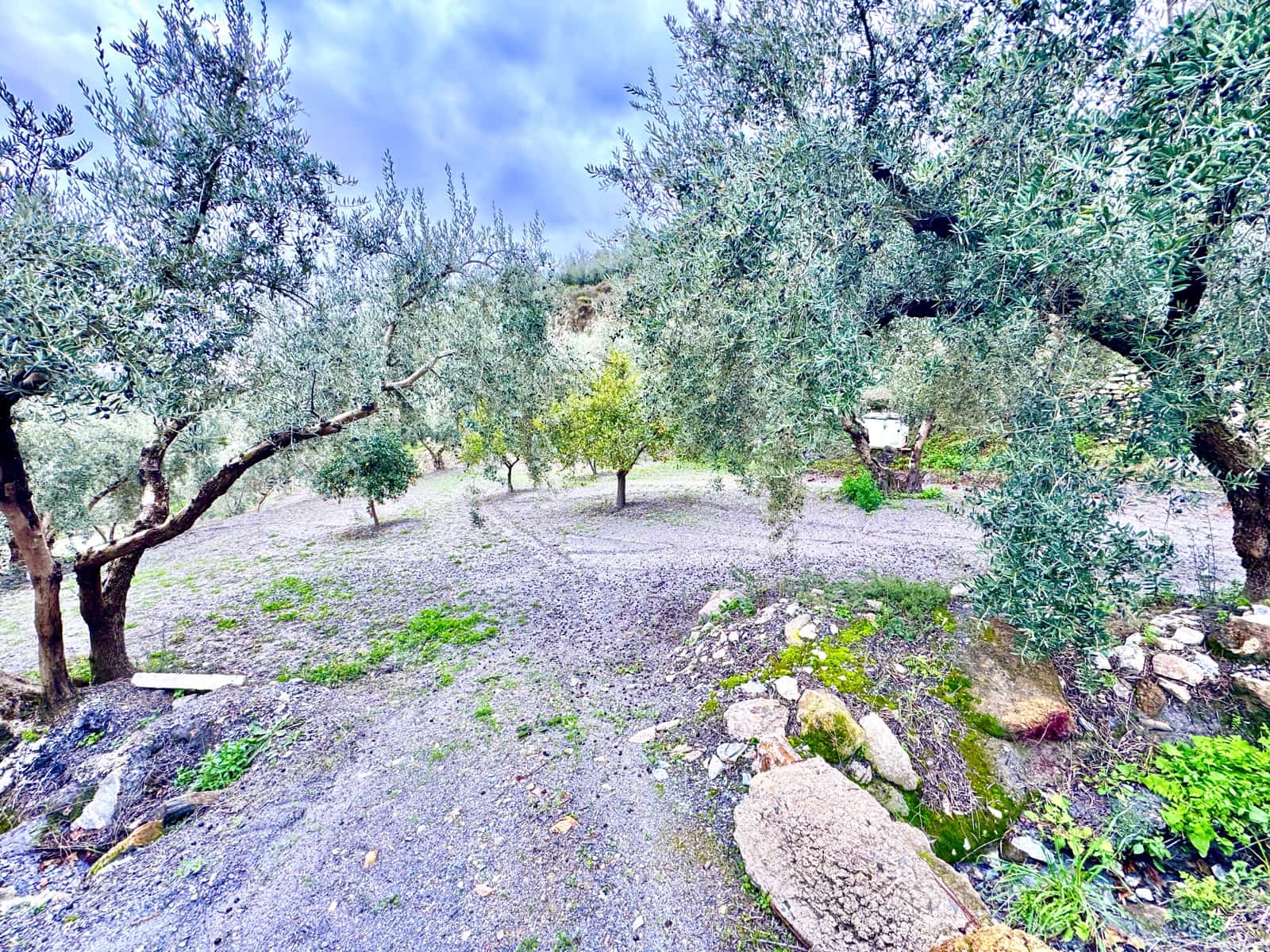 Terreno Não Urbanizado para venda em Nevada - 85 000 € (Ref: 9488013)