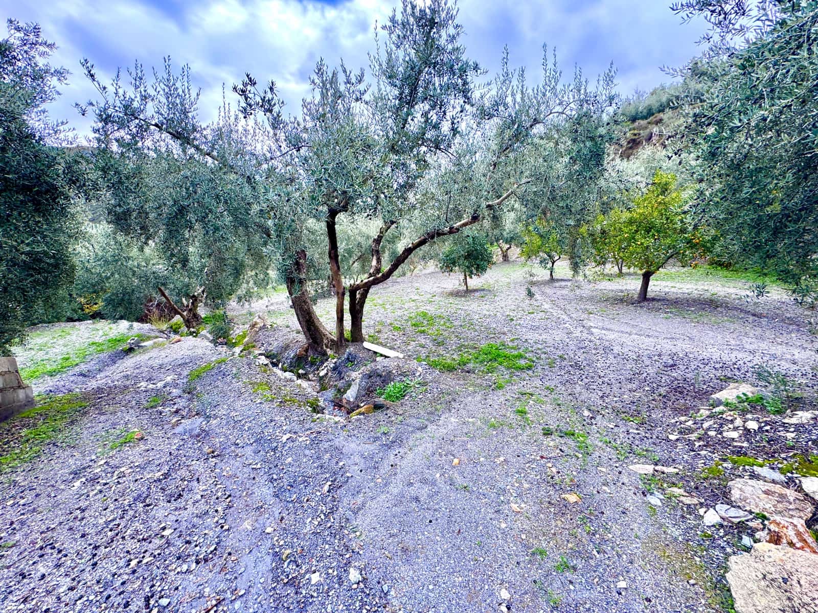 Terreno Não Urbanizado para venda em Nevada - 85 000 € (Ref: 9488013)