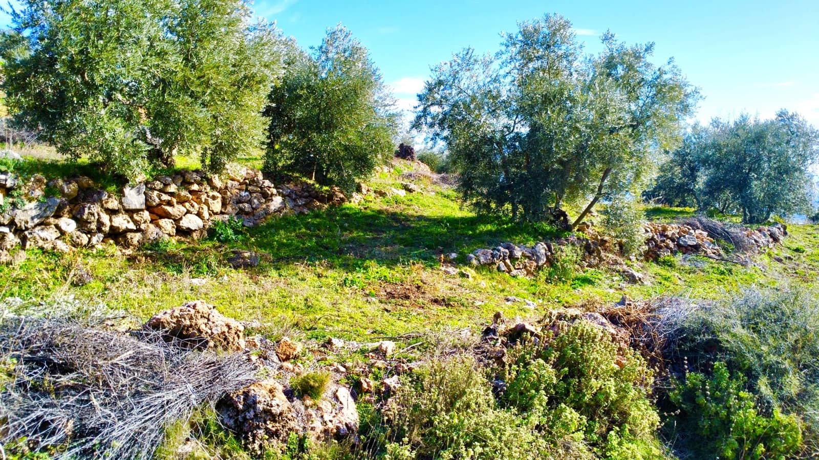 Undeveloped Land for sale in Alpujarra de la Sierra - € 11,900 (Ref: 9543515)