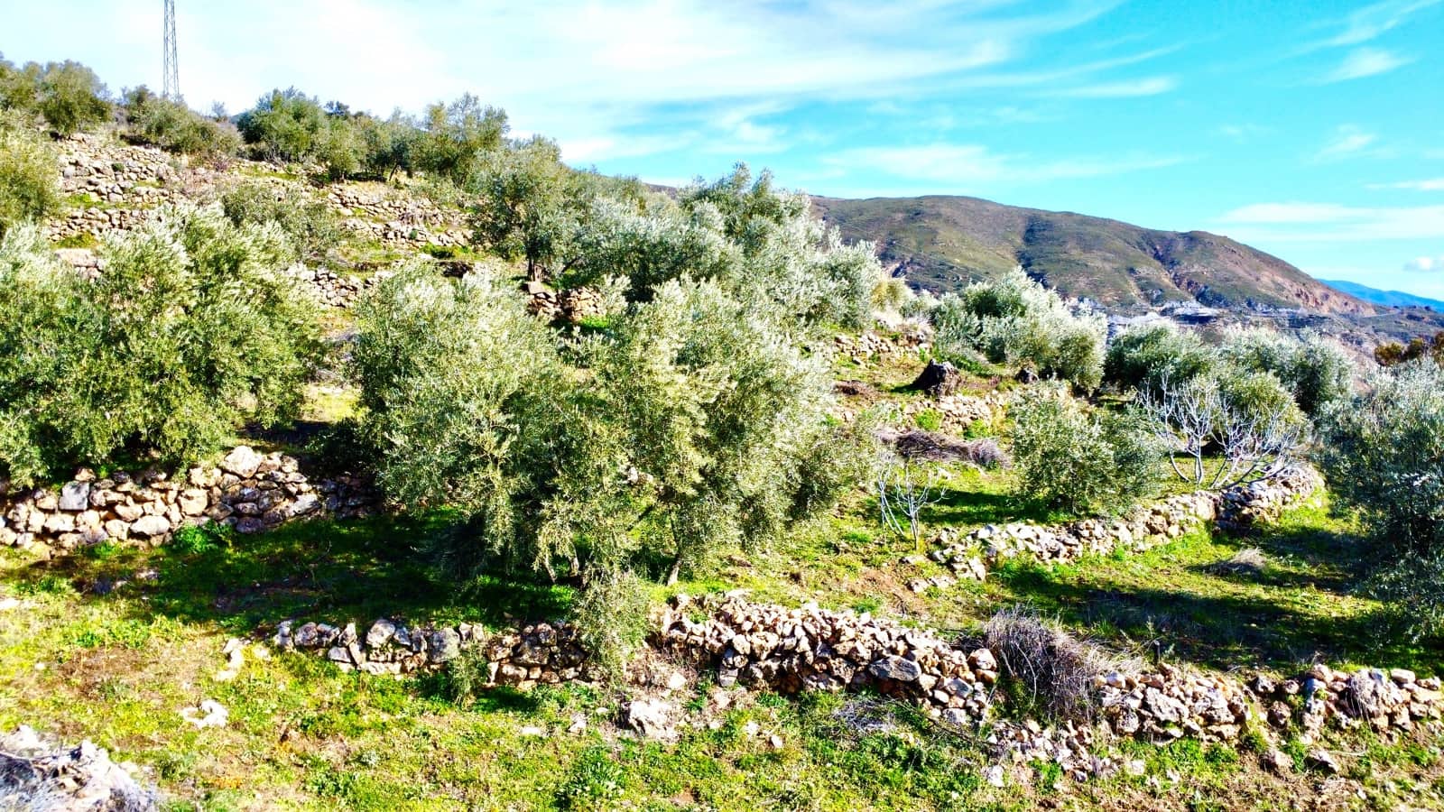Undeveloped Land for sale in Alpujarra de la Sierra - € 11,900 (Ref: 9543515)
