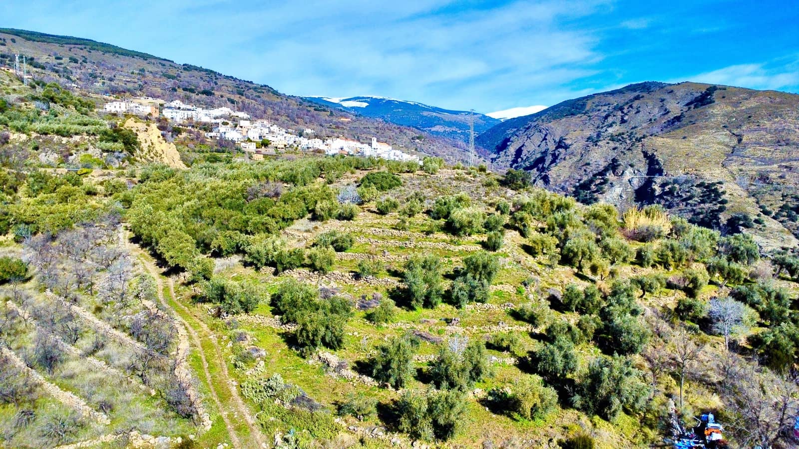 Undeveloped Land for sale in Alpujarra de la Sierra - € 11,900 (Ref: 9543515)