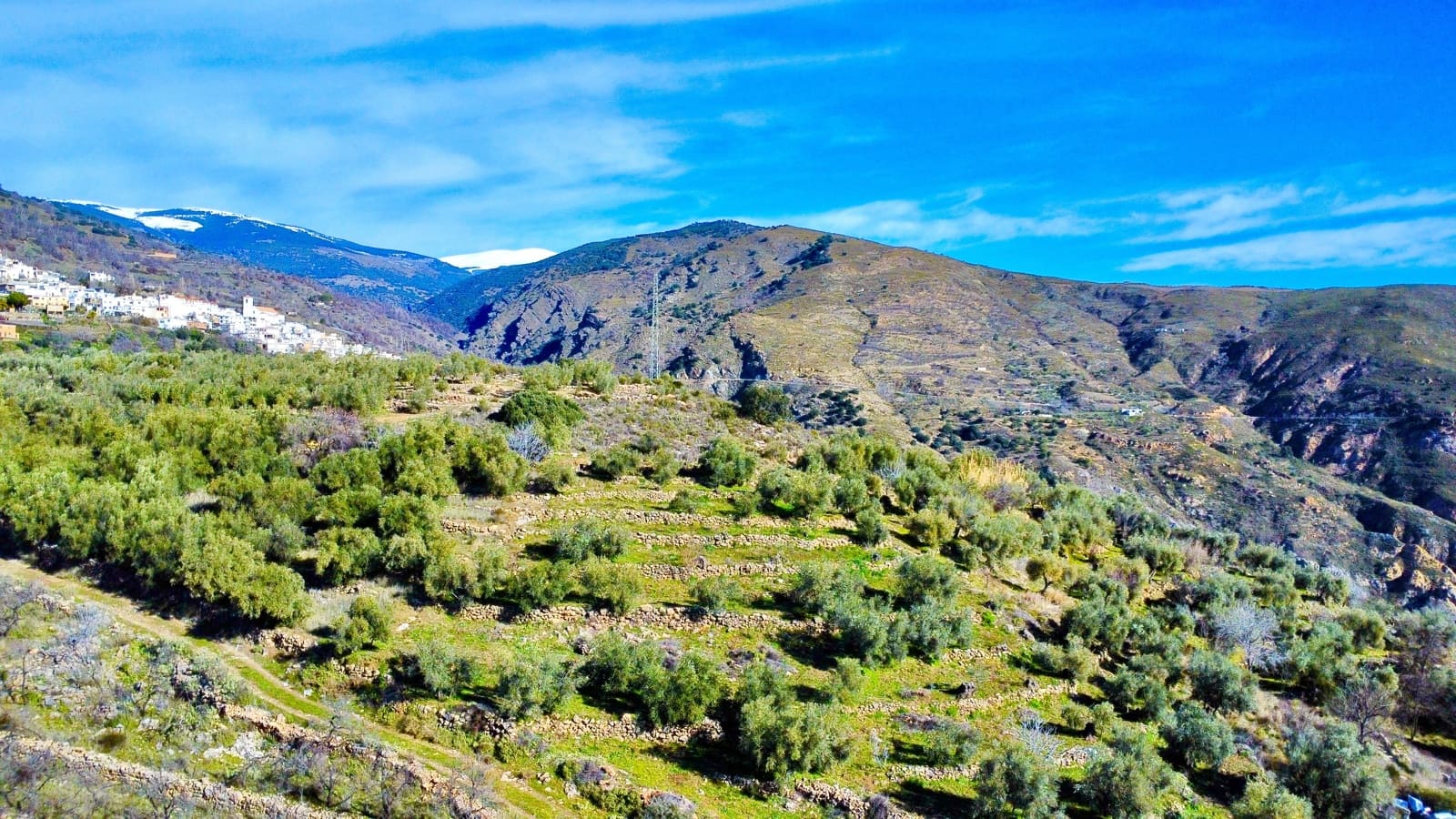 Undeveloped Land for sale in Alpujarra de la Sierra - € 11,900 (Ref: 9543515)