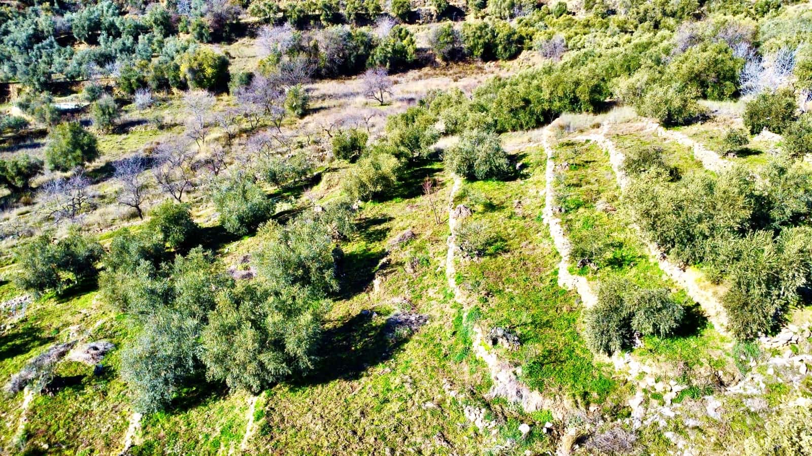 Undeveloped Land for sale in Alpujarra de la Sierra - € 11,900 (Ref: 9543515)