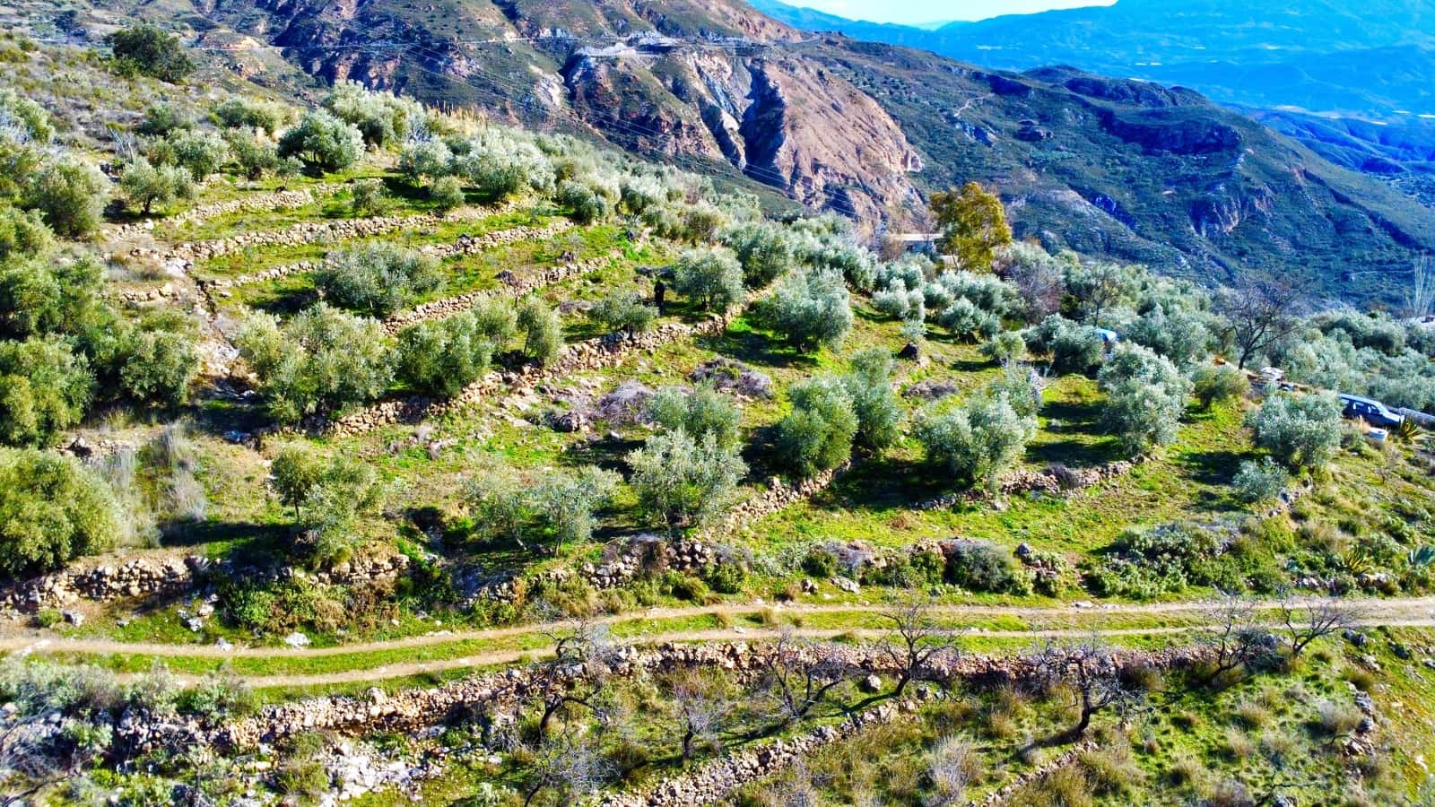 Undeveloped Land for sale in Alpujarra de la Sierra - € 11,900 (Ref: 9543515)