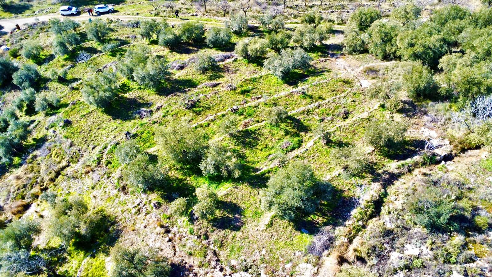 Undeveloped Land for sale in Alpujarra de la Sierra - € 11,900 (Ref: 9543515)