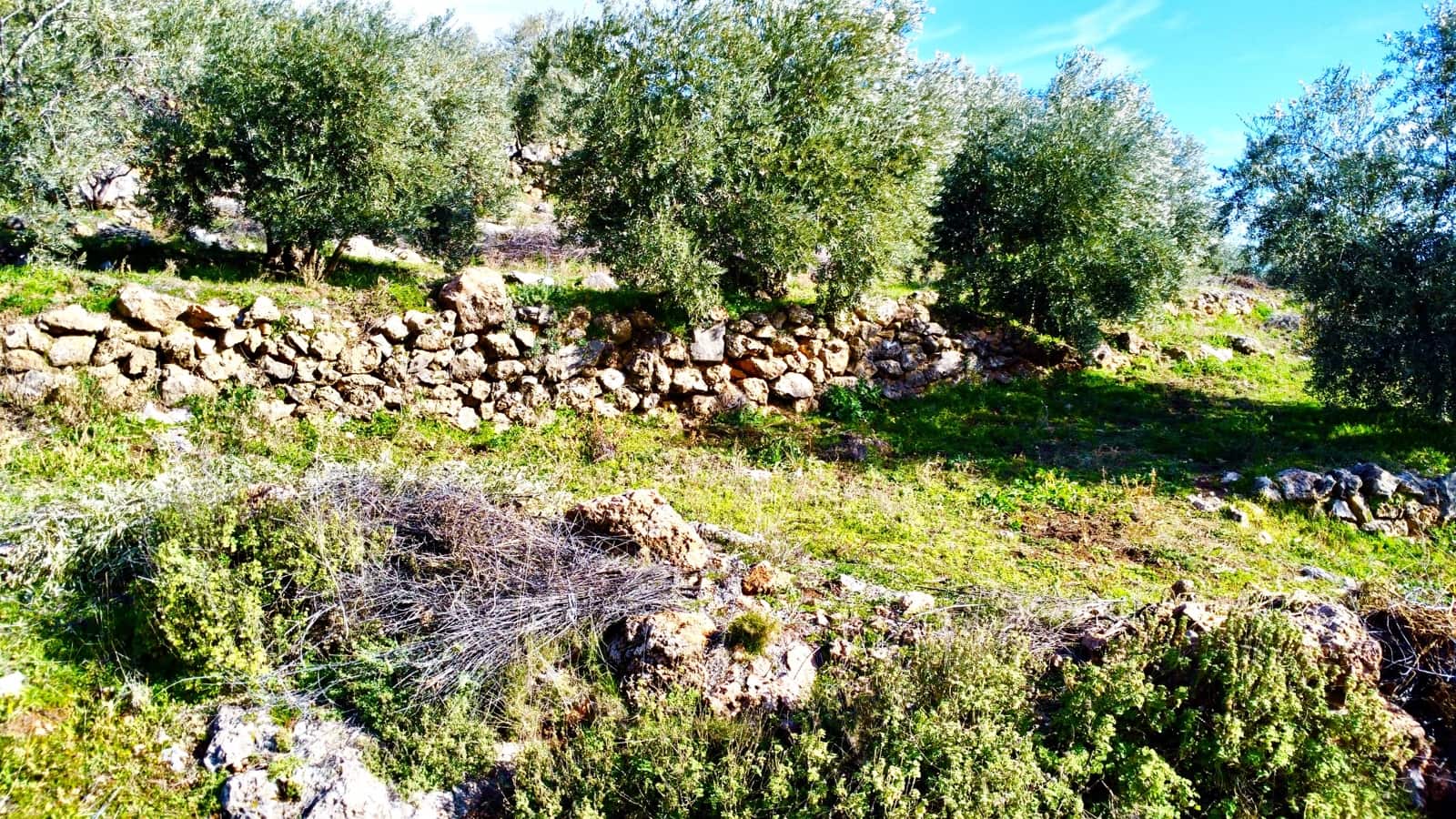 Undeveloped Land for sale in Alpujarra de la Sierra - € 11,900 (Ref: 9543515)