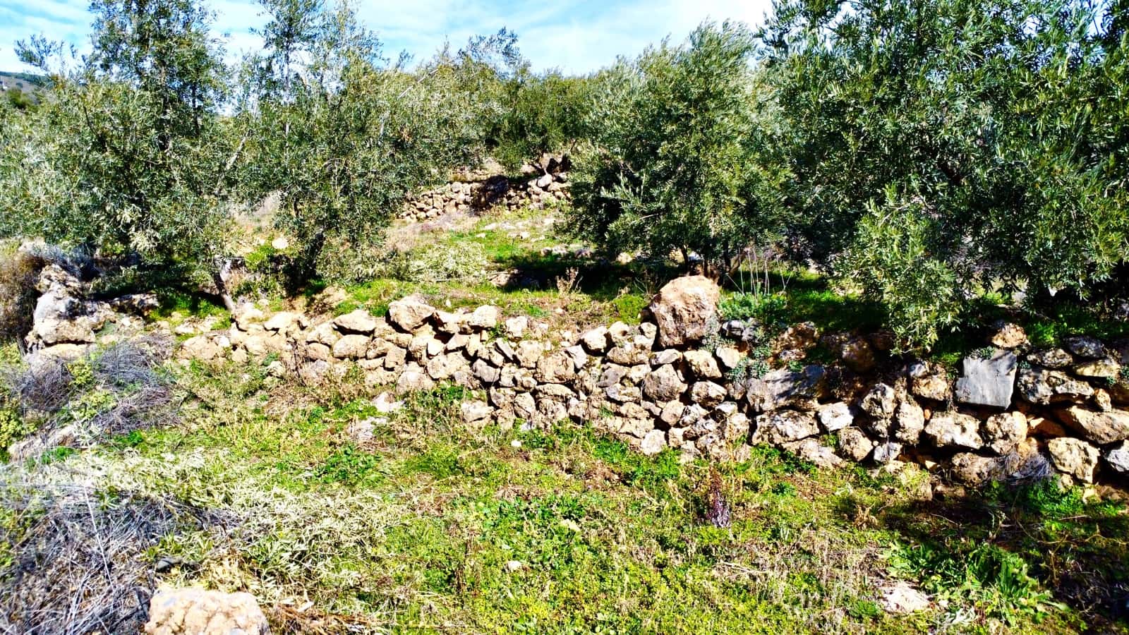 Undeveloped Land for sale in Alpujarra de la Sierra - € 11,900 (Ref: 9543515)
