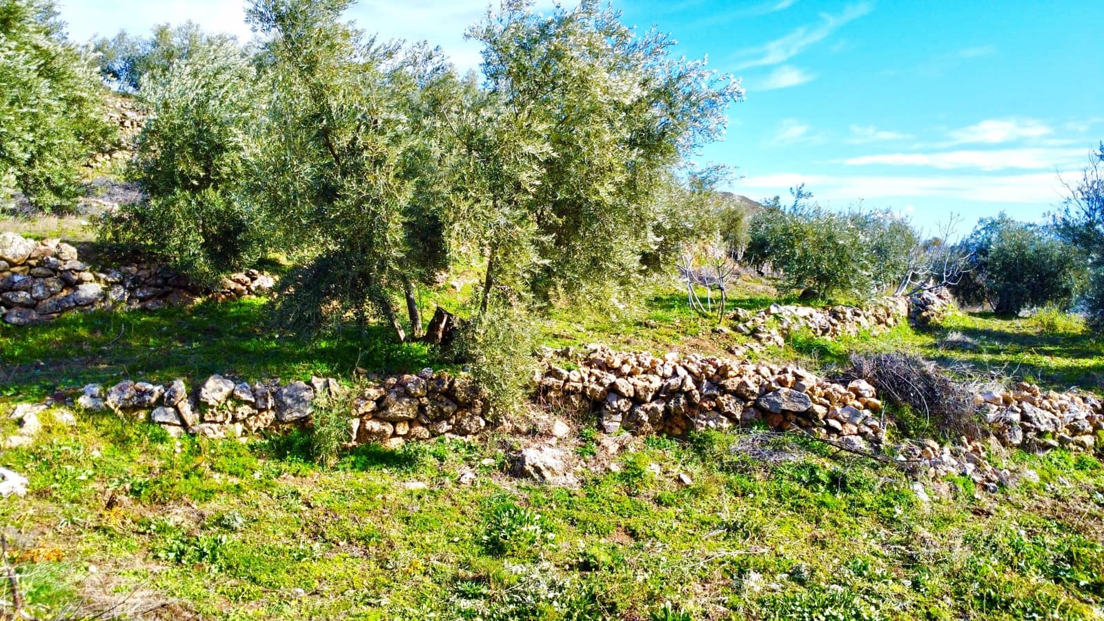 Undeveloped Land for sale in Alpujarra de la Sierra - € 11,900 (Ref: 9543515)