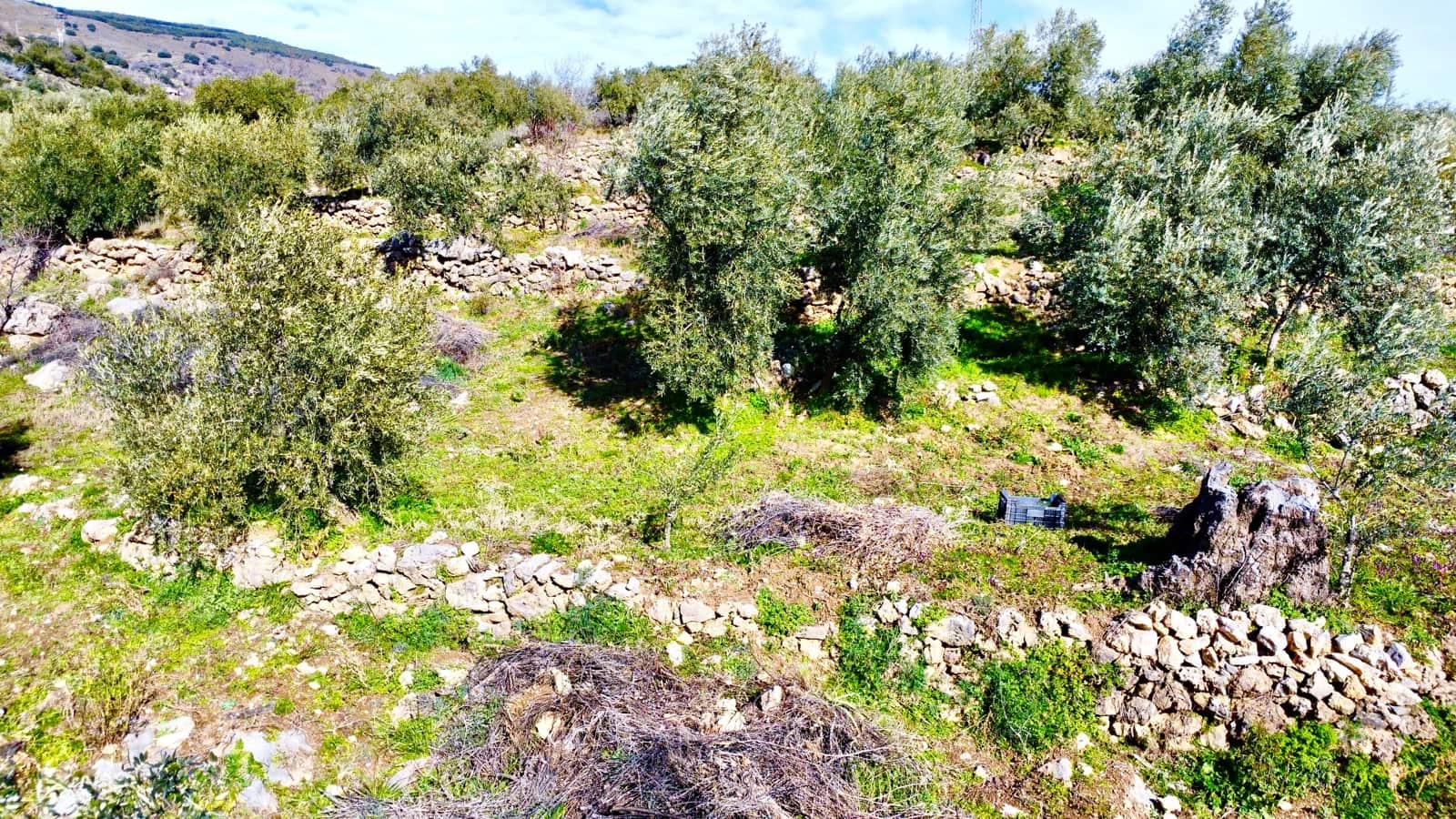 Undeveloped Land for sale in Alpujarra de la Sierra - € 11,900 (Ref: 9543515)