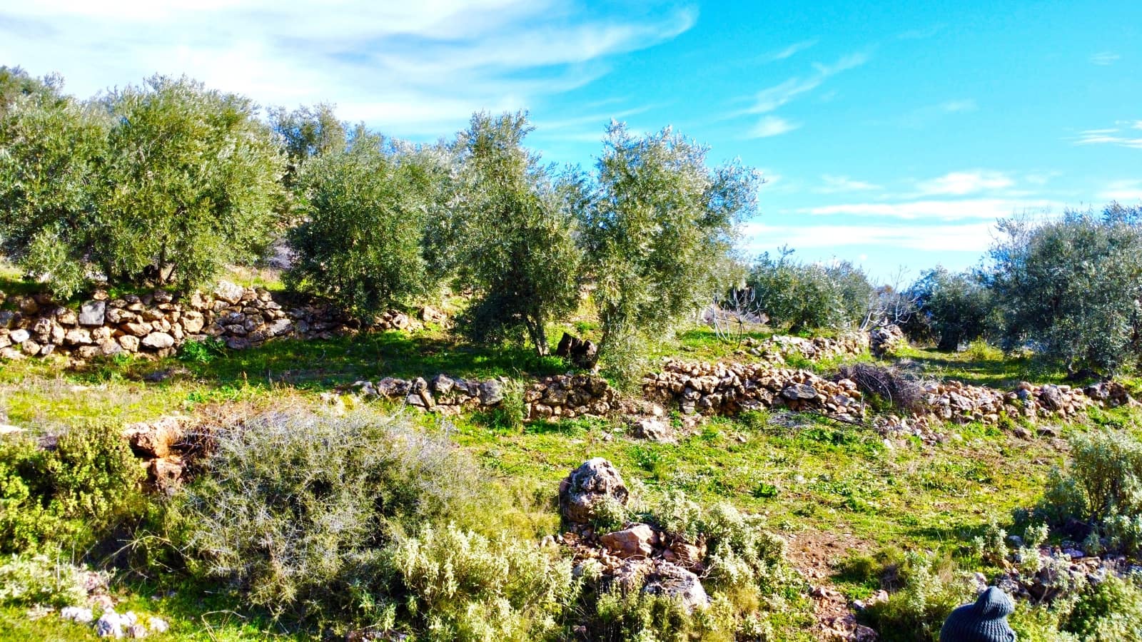 Undeveloped Land for sale in Alpujarra de la Sierra - € 11,900 (Ref: 9543515)