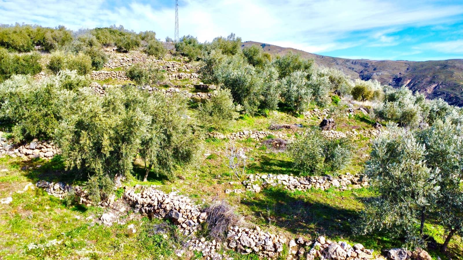 Undeveloped Land for sale in Alpujarra de la Sierra - € 11,900 (Ref: 9543515)