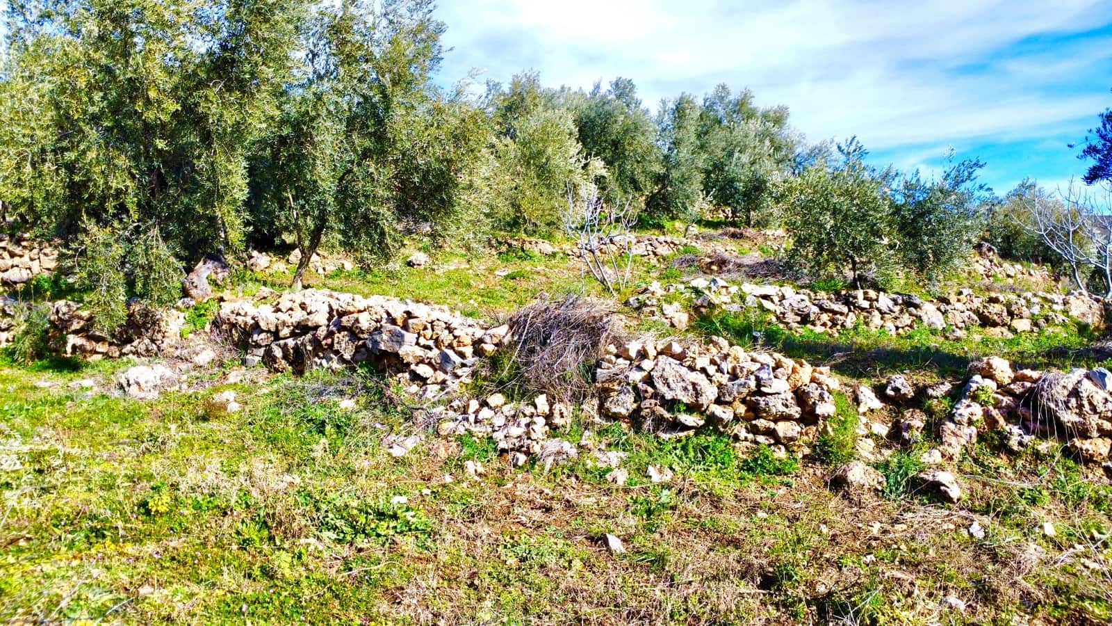 Undeveloped Land for sale in Alpujarra de la Sierra - € 11,900 (Ref: 9543515)