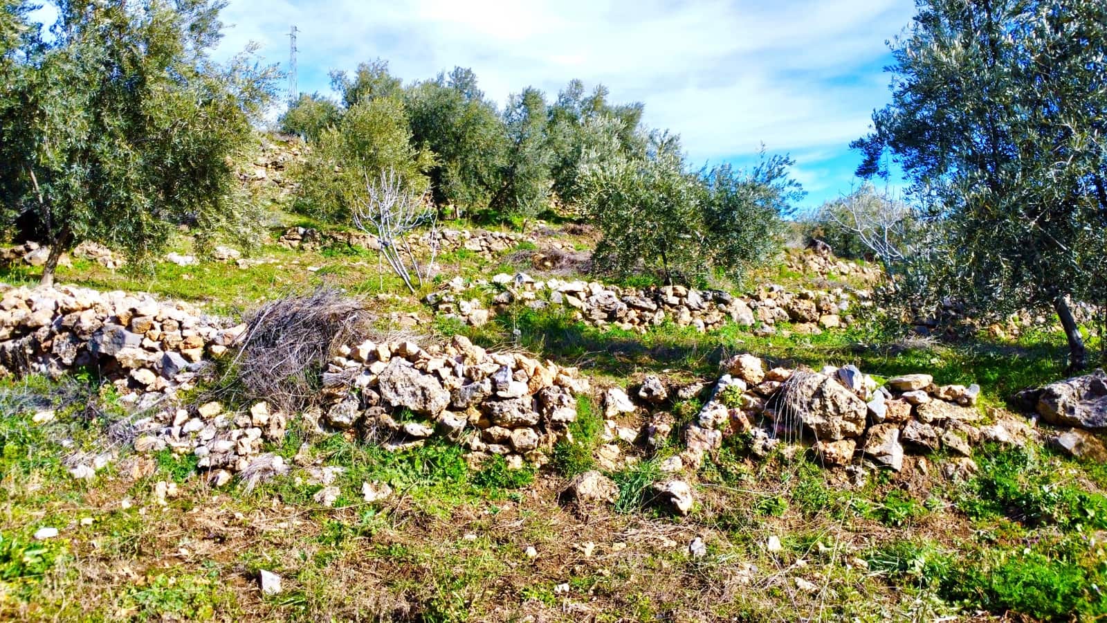 Undeveloped Land for sale in Alpujarra de la Sierra - € 11,900 (Ref: 9543515)