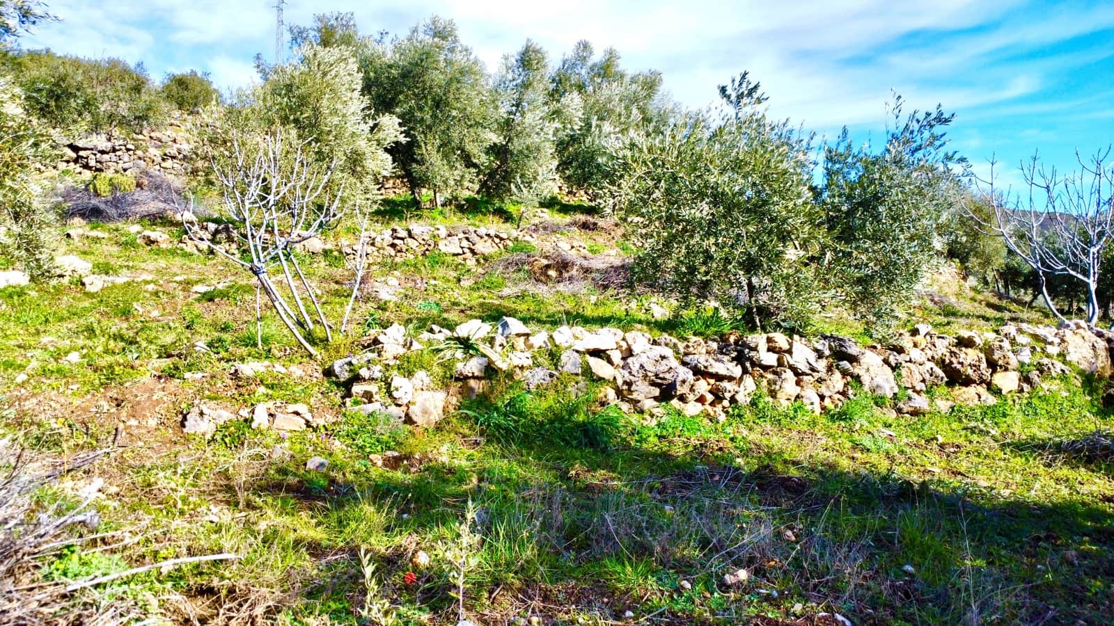 Undeveloped Land for sale in Alpujarra de la Sierra - € 11,900 (Ref: 9543515)