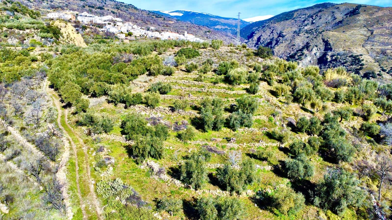 Undeveloped Land for sale in Alpujarra de la Sierra - € 11,900 (Ref: 9543515)