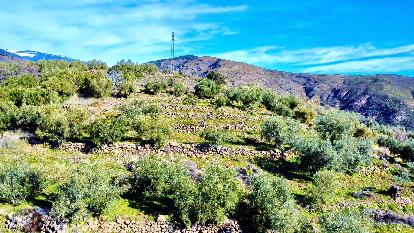 Undeveloped Land for sale in Alpujarra de la Sierra - € 11,900 (Ref: 9543515)
