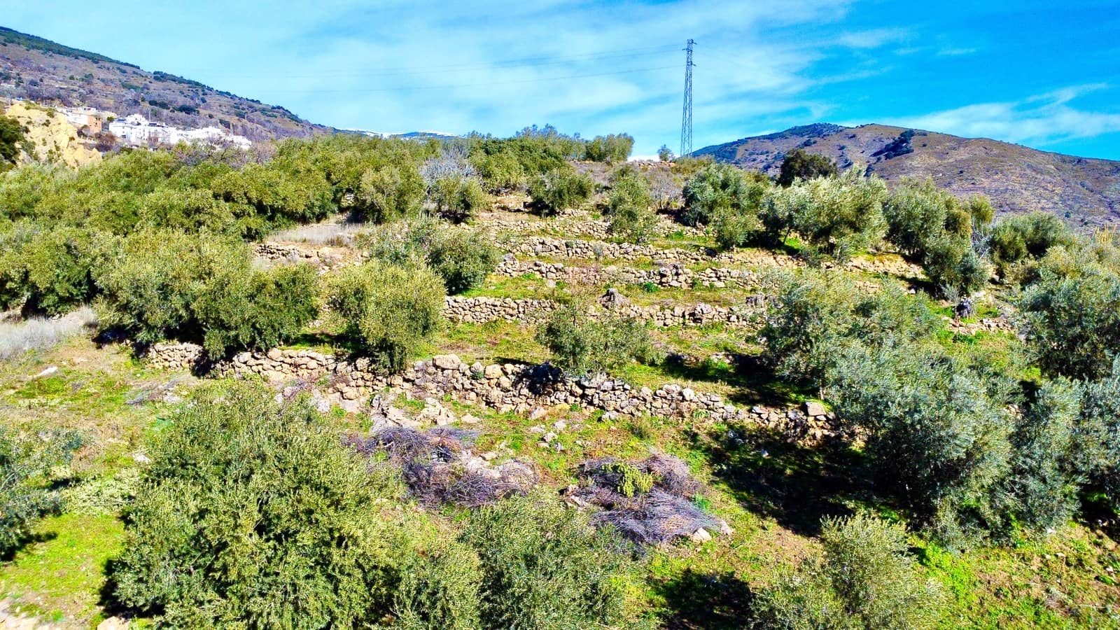 Undeveloped Land for sale in Alpujarra de la Sierra - € 11,900 (Ref: 9543515)