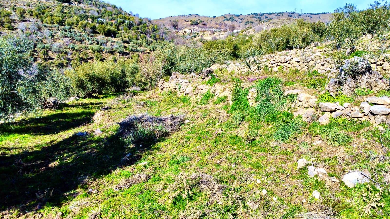 Undeveloped Land for sale in Alpujarra de la Sierra - € 11,900 (Ref: 9543515)