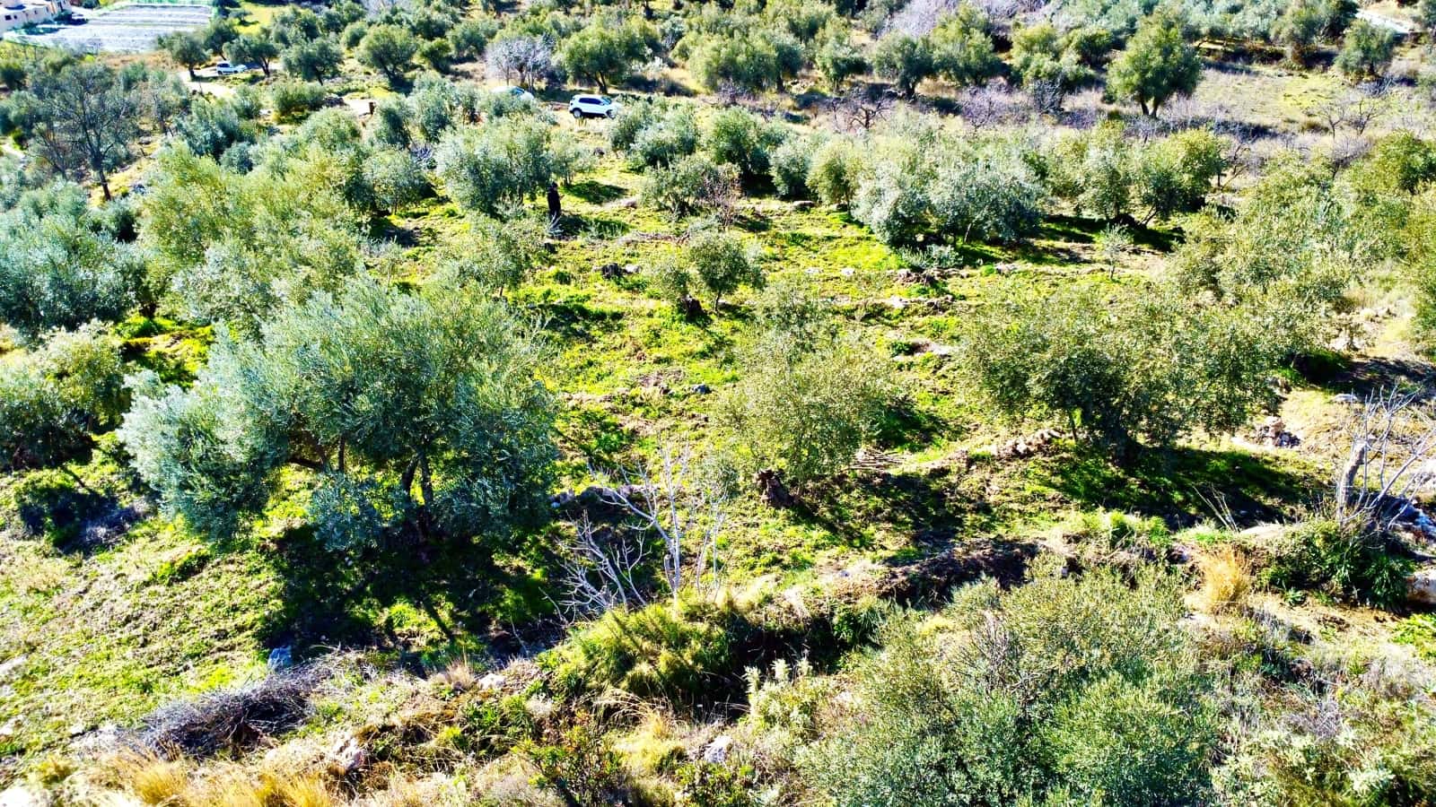 Undeveloped Land for sale in Alpujarra de la Sierra - € 11,900 (Ref: 9543515)