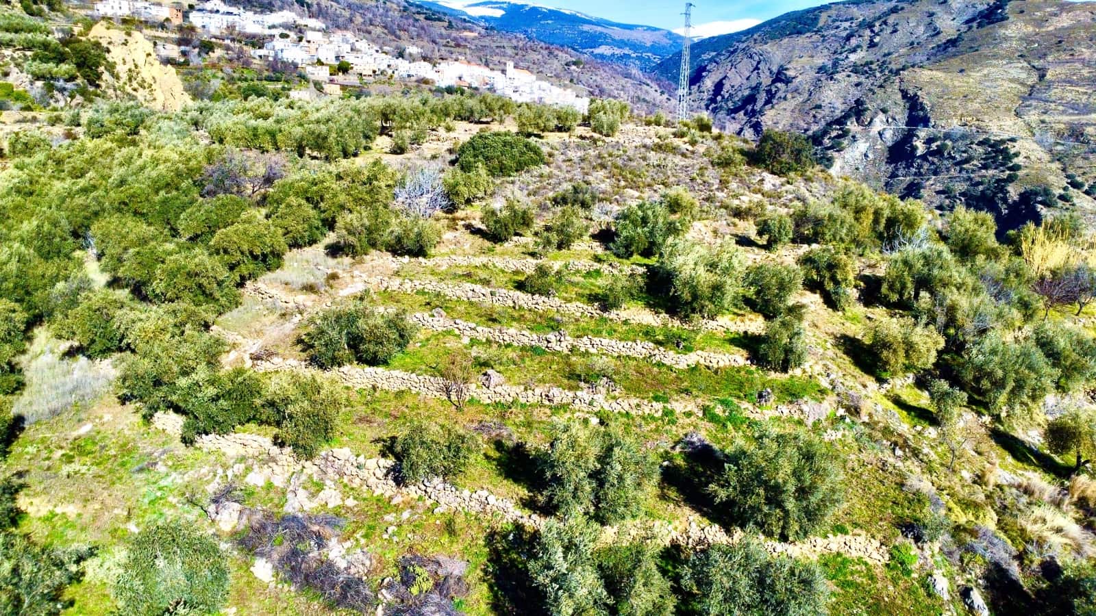 Undeveloped Land for sale in Alpujarra de la Sierra - € 11,900 (Ref: 9543515)